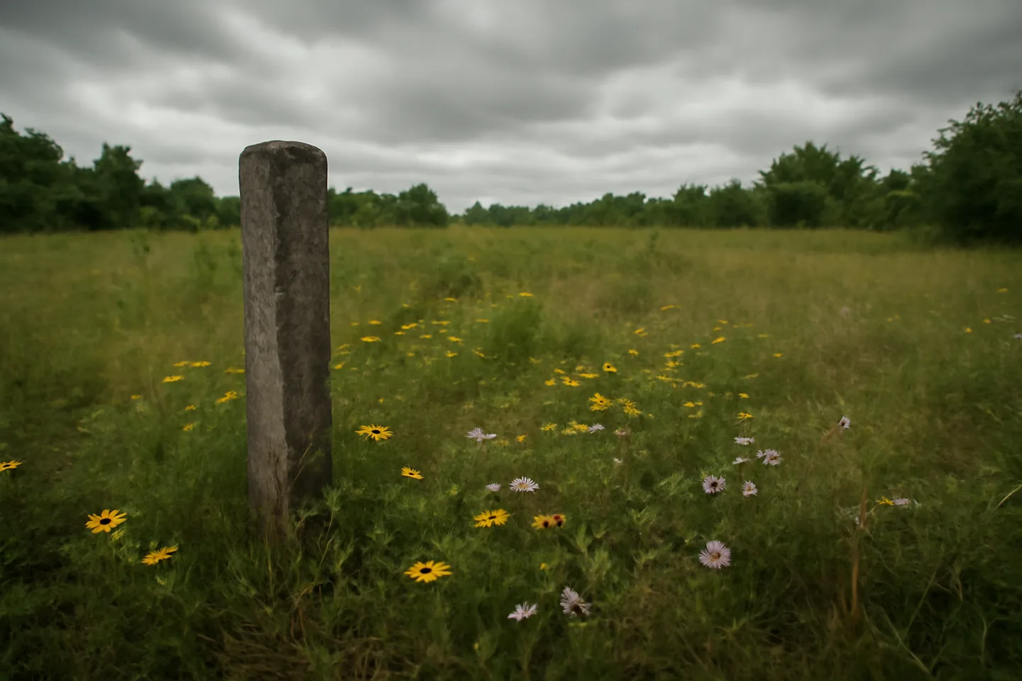 Overgrown inherited land parcel with boundary marker